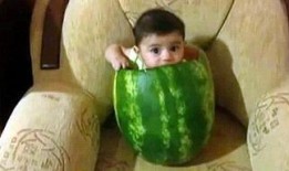 武都网红吃瓜事件视频完整版,揭秘视频完整版背后的真相与争议